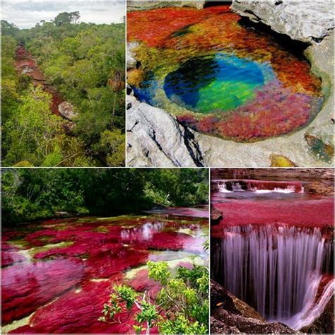 Top 103 Pictures The River Of Five Colours Colombia Full Hd 2k 4k