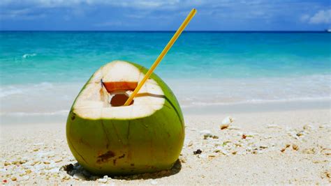 Fresh Green Coconut On Tropical Beach With White Sand Caribbean