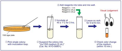 Guaiacol Detection Kit Cosmo Bio Co Ltd