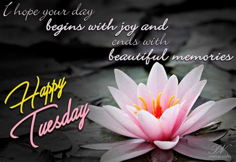 Wishing You A Happy And Joyous Tuesday Happy Tuesday Quotes Good