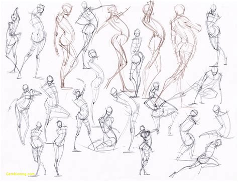 Anatomy Drawing Practice At Explore Collection Of