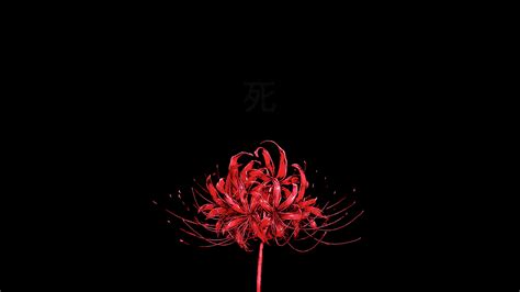 If you're looking for the best the best selection of royalty free aesthetic background vector art, graphics and stock illustrations. Red Aesthetic Computer Wallpapers - Top Free Red Aesthetic ...