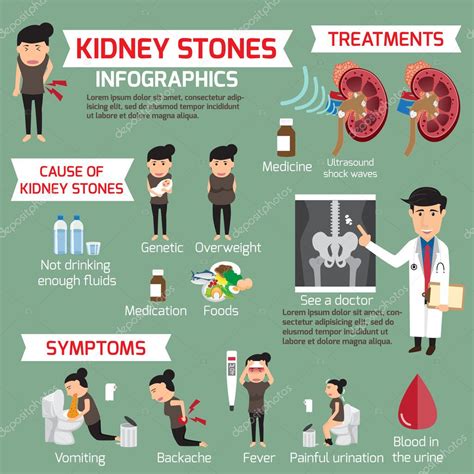 Kidney Stone Infographic Detail Medical Set Elements And Sympto Stock
