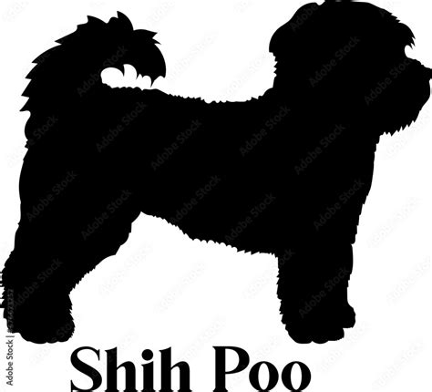 Vecteur Stock Shih Poo Dog Silhouette Dog Breeds Logo Dog Monogram Logo