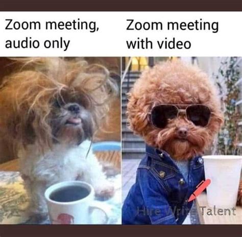 20 Relatable Zoom Meetings Memes