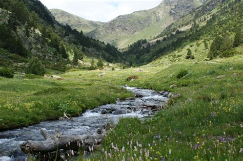 Andorra might be a small country, but in its 468km² there's plenty of variety for every taste. Catalan Language: Everything You Need To Know