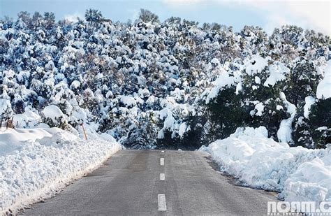 The Road Is Surrounded By Snow Covered Trees And Bushes On Both Sides