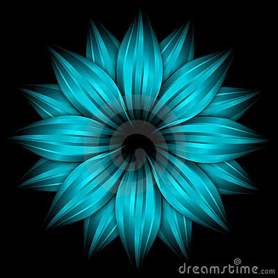 Your background blue flower sky stock images are ready. Abstract Sky Blue Flower On Black Background Stock Photo ...