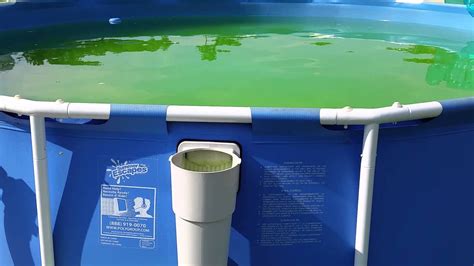 You might start at the panel, or the next outlet (closer to the panel) from the suspect outlet. How to fix a green swimming pool - YouTube