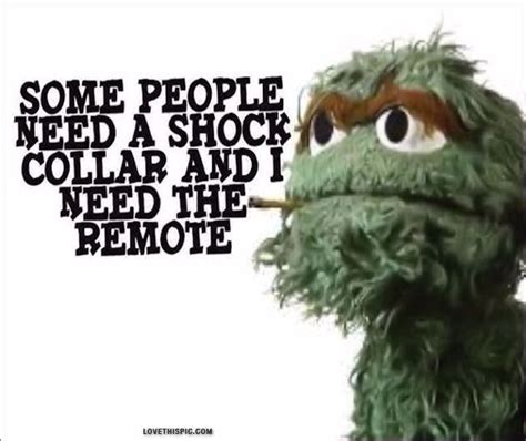 Some People Funny Quotes Quote Funny Quote Funny Quotes Oscar The Grouch Sesame Street Amen
