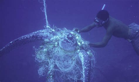 Shocking Photos Show Extent Of Plastic Pollution In Caribbean