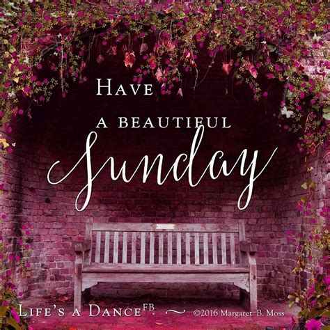 Happy Sunday Enjoy Your Day Of Rest Have A Beautiful Sunday Sunday Morning Quotes Happy
