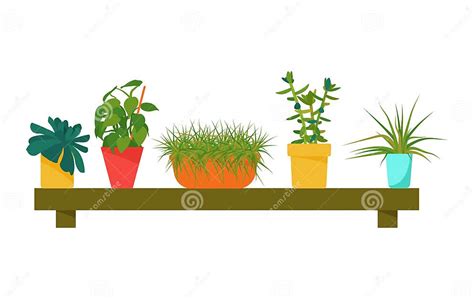 House Plants Flowers In A Pot On A Wooden Shelf Design Element Stock