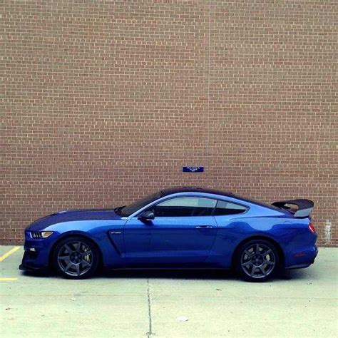 Matt Or Gloss Black Stripes On Deep Impact Blue 2015 S550 Mustang