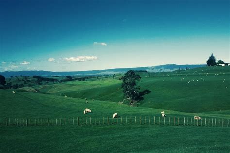 Here's a straight up certain way to prepare, for the armies of. 100+ New Zealand Quotes for SO KIWI Instagram Captions