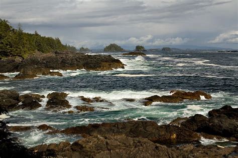 Ucluelet Coast Ucluelet British Columbia This Ones A Beaut