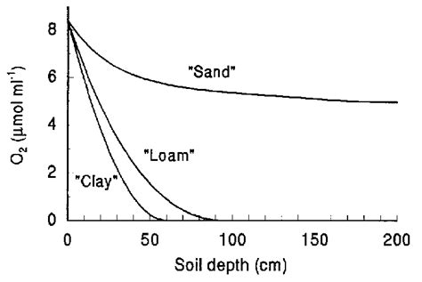 Steady State O 2 Concentration Distribution Of Three Hypothetical Soils