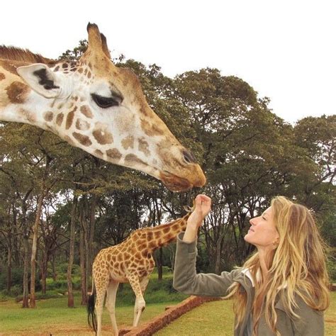 Ciência, tecnologia e ambiente publicado em 03 março 2021 visualizações: Ao lado de girafas, Gisele Bündchen celebra o Dia Mundial ...