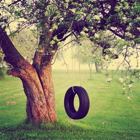 Tire Swing This Kind Of Reminds Me Of Our Old Tire Swing In The Tree