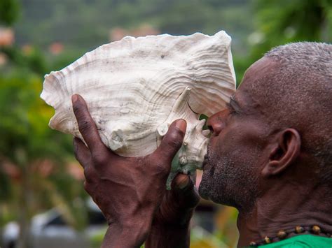 Blowing into the horn…that's another matter. How To Blow a Conch Shell, Part One | Caribbean
