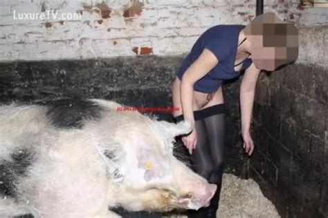 Stories Of Girl Having Sex With A Pig Hq Photo Porno