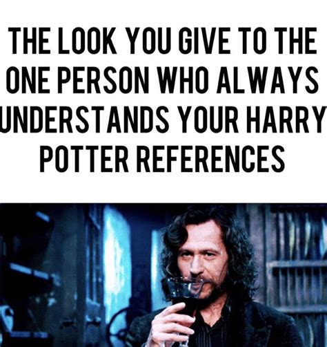 Harry Potter Fanfiction Harry Potter Jokes Harry Potter Fandom Voldemort New Memes Funny