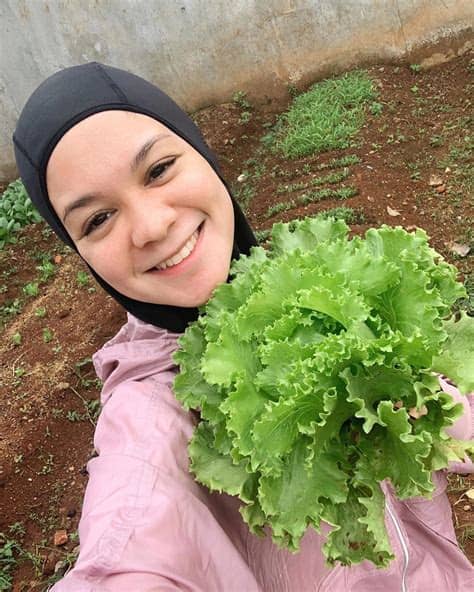 + kisah ini berawal, ketika aku mulai bekerja. Cerita Haykal Kamil dan Istri Garap Kebun di Kompleks yang ...