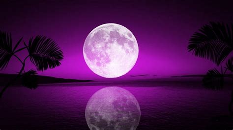 Purple Moon Wallpapers Top Free Purple Moon Backgrounds Wallpaperaccess