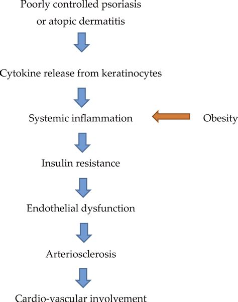 Psoriatic March Skin Inflammation And Cardiovascular Events Two