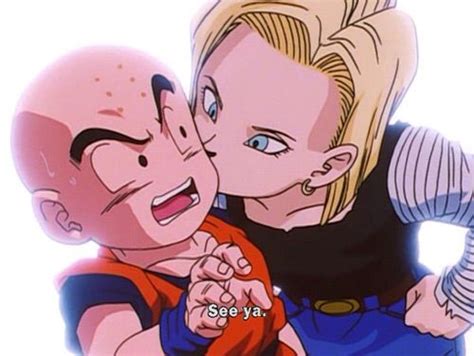 C18 And Krillin