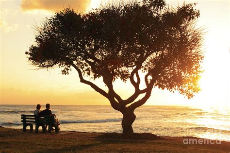 Ocean Bench Sunset Photograph By Brandon Tabiolo Printscapes