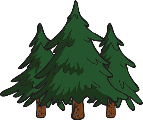 Cartoon Pine Trees Illustrations Royalty Free Vector Graphics And Clip