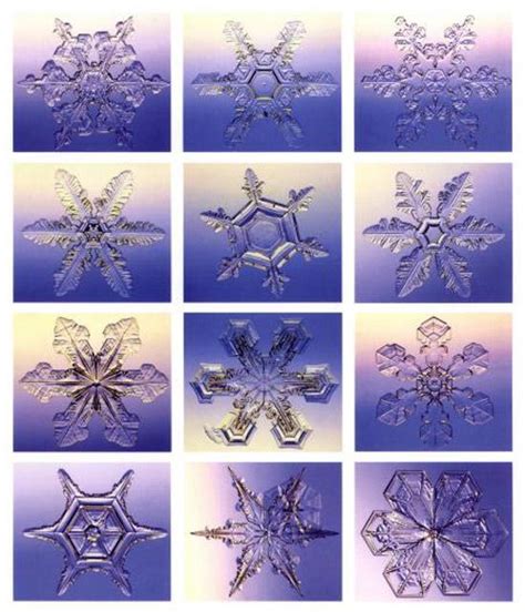 Stunning Photography Of Individual Snowflakes From The Snowflake