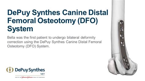 Depuy Synthes Canine Distal Femoral Osteotomy Dfo System Bilateral