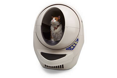 Best cat litter for odor control: The Best Cat Litter Box Reviews for 2019 - Top Rated ...