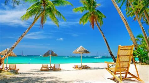 Tropical Paradise Beach Sea Palm Trees Summer Hd Desktop