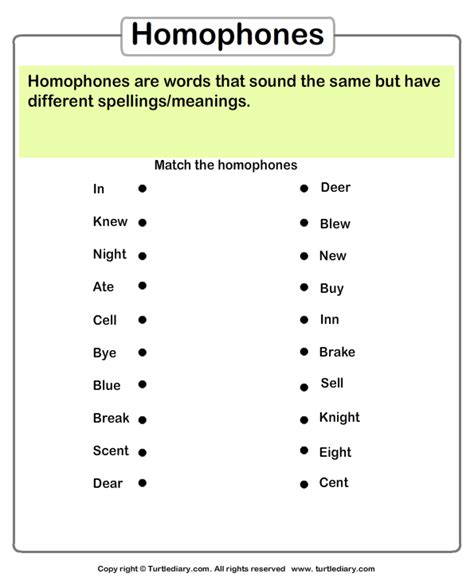 Homophones Worksheets Match The Homophones 1 Turtle Diary