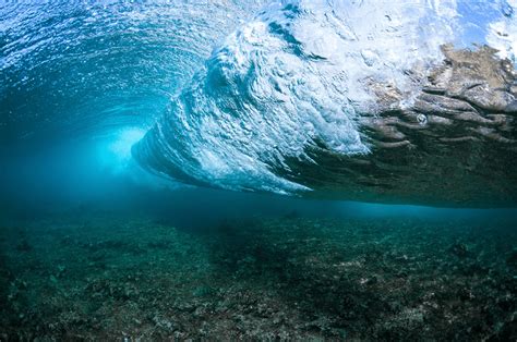 20 Beautiful Nature Photos That Will Leave You Speechless Underwater