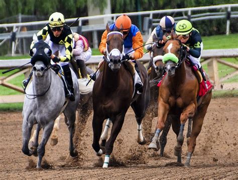 Michigans Northville Downs To Run 54 Racing Days In 2021 Horse