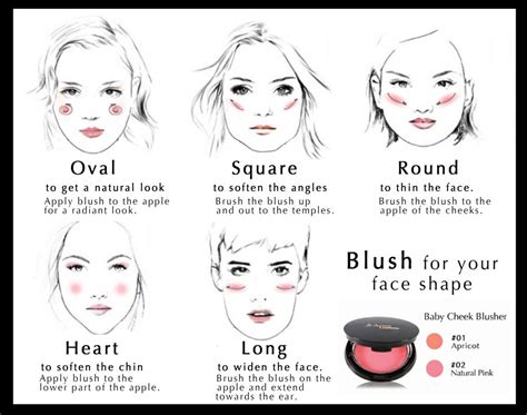 makeup tips for women over 50 — crazy blonde life how to apply blush highlighter face shapes