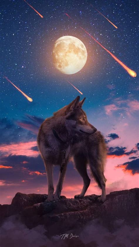 We have an extensive collection of amazing background images carefully chosen by our community. The Lone Wolf iPhone Wallpaper - Cool backgrounds | Wolf spirit animal, Wolf wallpaper, Wolf ...