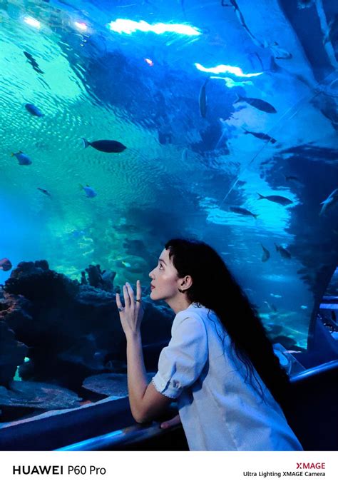 Malaysia Truly Asia On Twitter Come See Why Aquaria Klcc Is The Top