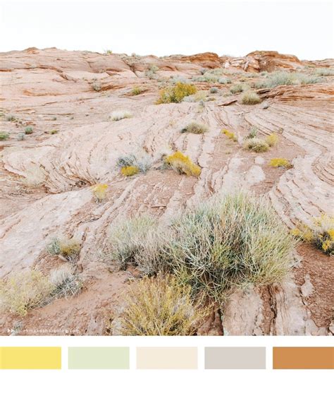 Color Stories From A Southwestern Road Trip Thinkmakeshare Brand