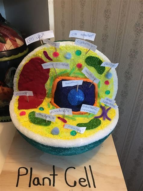 Plant Cell Model 6th Grade Cell Model Project Plant C
