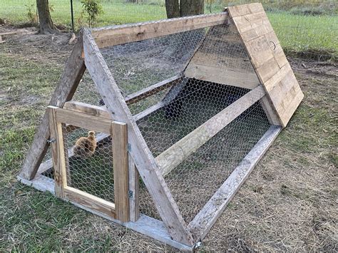 Wooden Pallet Mini Coop Backyard Chickens Learn How To Raise Chickens