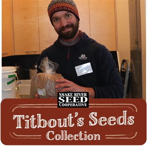 Titbouts Seeds Seed Collection Snake River Seed Cooperative