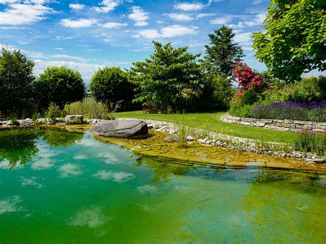 Orf sendung natur im garten vom 26. Gartenparadies mit „modernem Touch" in "Natur im Garten ...