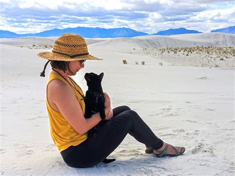 My Wife And Her Familiar In The Desert Aww