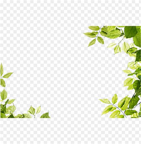 Leaf Frame Png Free PNG Images ID 7231 TOPpng