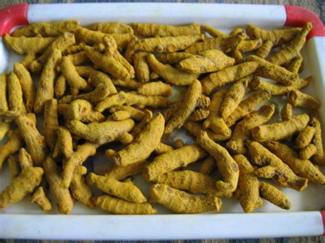 Turmeric Fingers At Best Price In Chennai By Mammon Exports Id